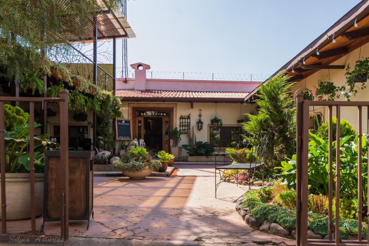 Acanthus Boutique Hotel Quetzaltenango Bagian luar foto